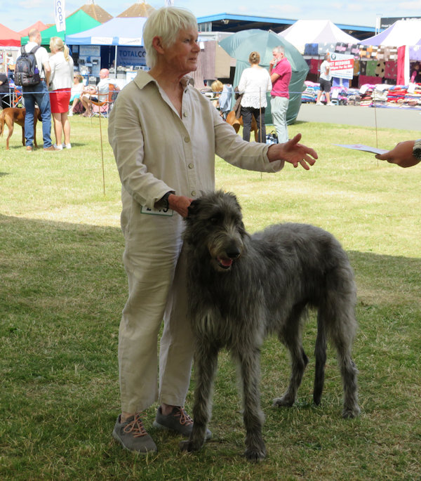 Yearling Dog 1st